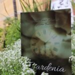 ‘Gardenia’, la fascinante saga de fantasía que conquista a los lectores